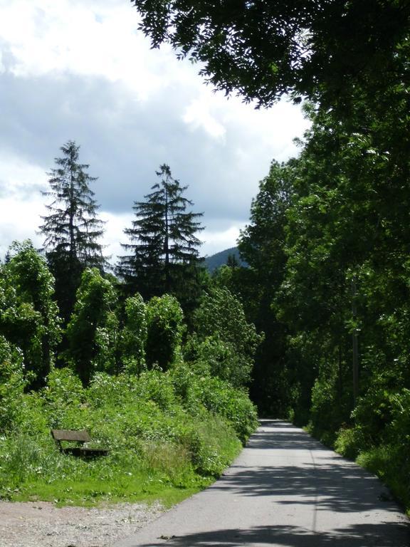 Lahnerhof Villa Campo Tures Dış mekan fotoğraf
